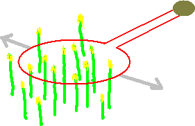 Simulation of an Ordinary BoL in horizontal motion